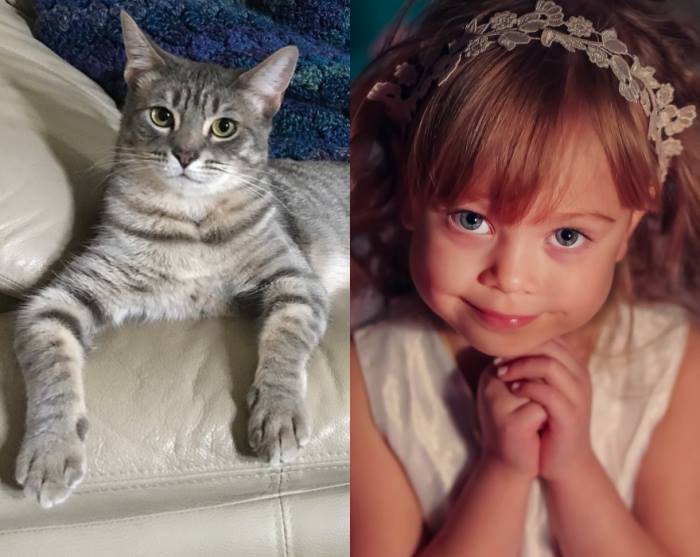 Citeşte ce mesaj a primit o fetiţă care i-a scris veterinarului despre pisica sa care a băut lapte cu căpşuni