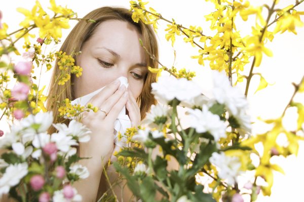 Tratamente naturiste împotriva alergiilor