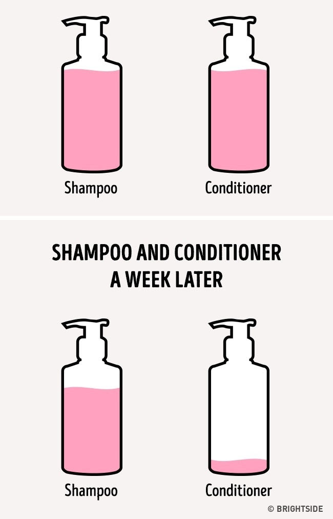 şampon