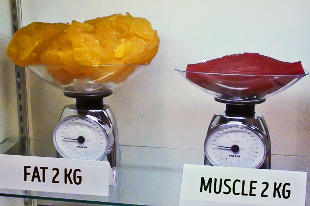 Două kilograme de grăsime arată în comparație cu două kilograme de mușchi