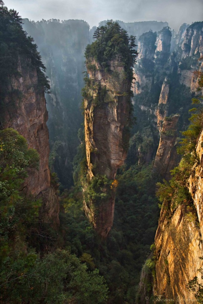 Stâncă în Parcul Național Zhangjiajie, China