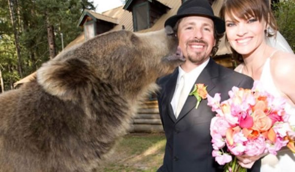 Povestea uluitoare dintre un urs grizzly si un adolescent „Mi-a fost pana si cavaler de onoare la nunta"