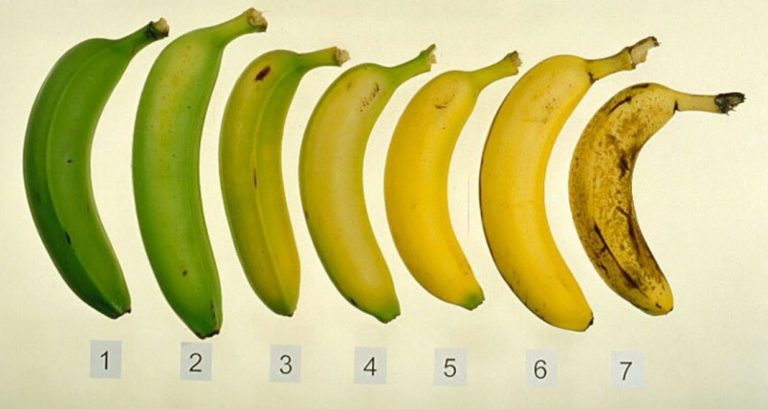 Tu stii care banane sunt sanatoase pentru tine